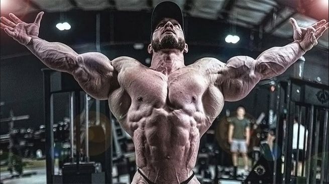Steroide zur Steigerung der Trainingsleistung und Kapazität einsetzen Steroide zur Steigerung der Trainingsleistung und Kapazität einsetzen